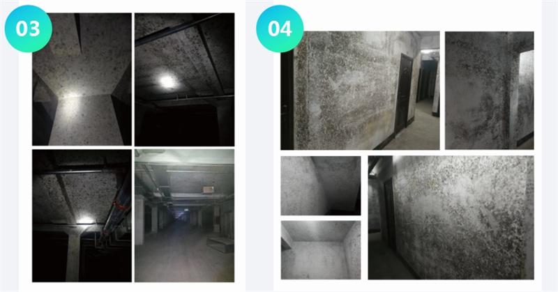 霉菌的溫床：地下車庫或儲(chǔ)藏室潮濕、滲漏...(圖2)