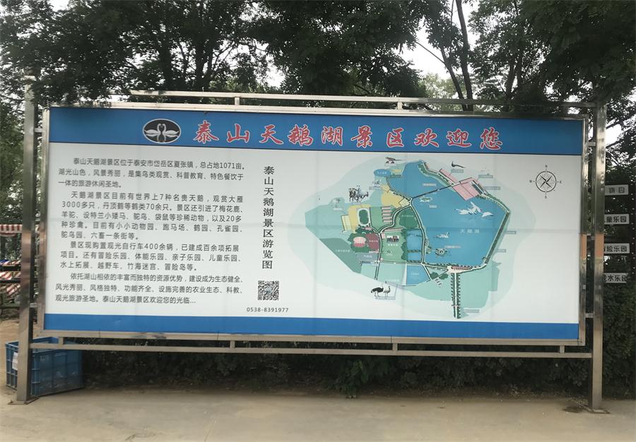 天鵝湖風(fēng)景區(qū)（泰山）速覽！(圖2)