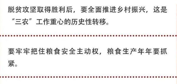 2020年中央農(nóng)村工作會(huì)議精神速覽！(圖2)