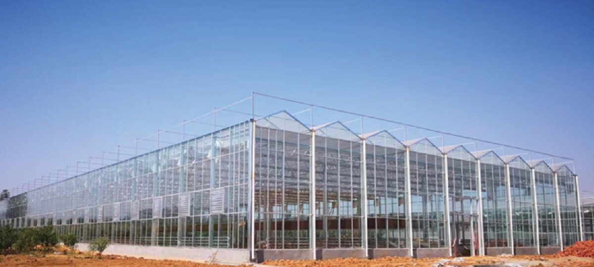 信橋鋼構(gòu)：打卡蒙陰農(nóng)業(yè)溫室大棚、青州黑牛養(yǎng)殖基地！(圖2)